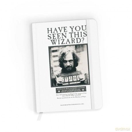 Notes w kratkę Harry Potter 031 Harry Potter Biały