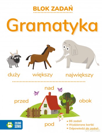 Gramatyka 9+. Blok zadań [KSIĄŻKA]