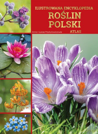 Ilustrowana encyklopedia roślin Polski. Atlas - Anna I Łukasz Przybyłowiczowie [KSIĄŻKA]