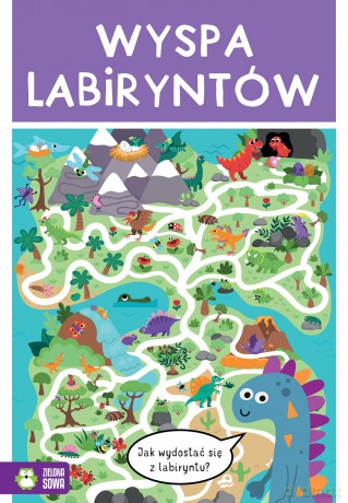 Wyspa labiryntów [KSIĄŻKA]