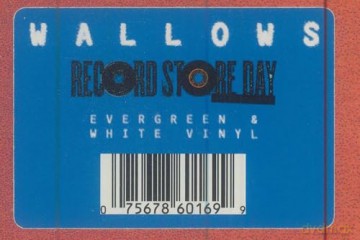 Wallows: More (RSD 2025) (Green White) [Winyl]