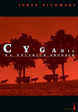 Cyganie na polskich drogach [KSIĄŻKA]