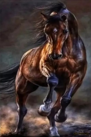 Diamentowa mozaika Czarny koń dziki rumak 30x40cm 2000180