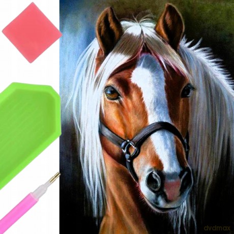 Duży Haft Diamentowy Koń Konie 80x40 Xxl Diamond Paiting Ogromny Wielki