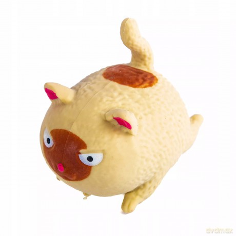 Gniotki Antystesowe Zabawki Kotek Różne