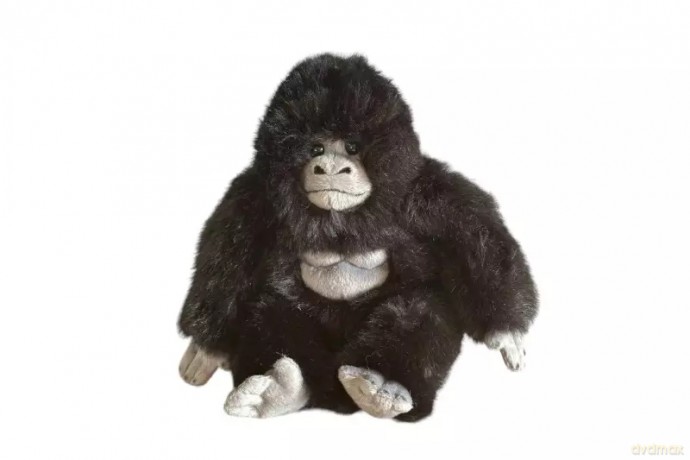 Goryl 20cm 31099