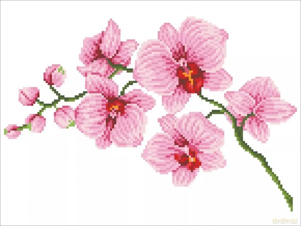 Haft diamentowy Diamond Dotz Orchidea DD6034