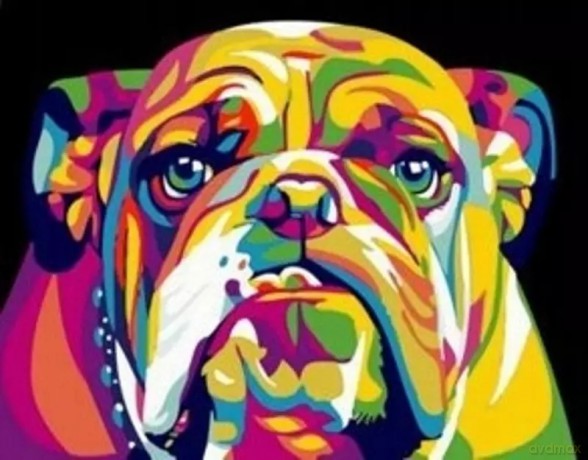 Malowanie po numerach Pies buldog kolorowy 50x40cm 1005585