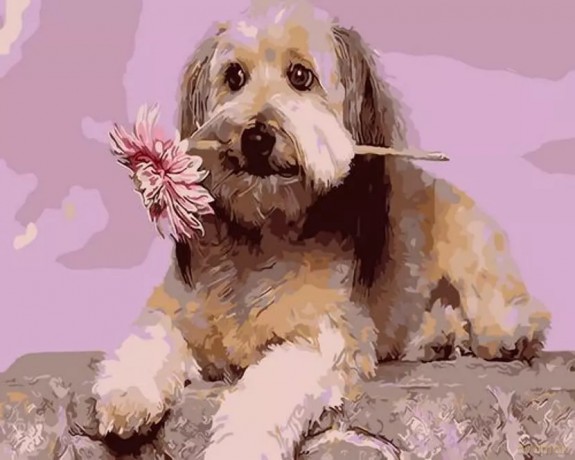 Malowanie po numerach Pies z kwiatkiem 50x40cm 1008915