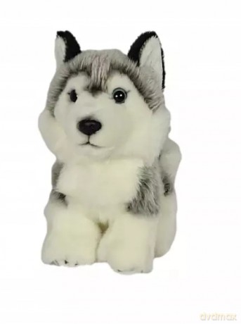 Pies husky 19cm pluszaki Dubi