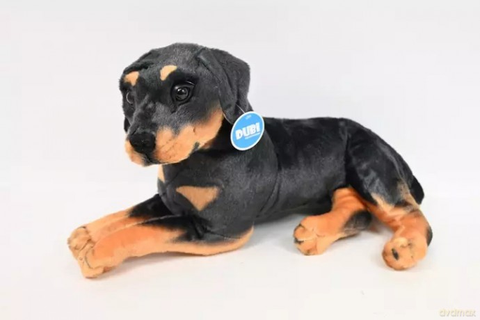 Pies rotwailer 47cm 32492