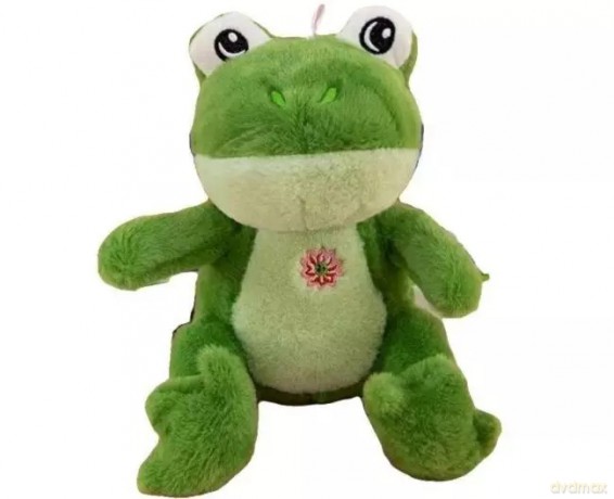 Żaba