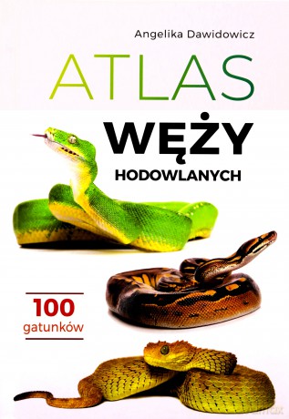 Atlas węży hodowlanych. 100 gatunków - Angelika Dawidowicz [KSIĄŻKA]