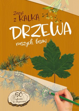 Drzewa naszych lasów. Zeszyt z kalką - Andżelika Bielańska [KSIĄŻKA]