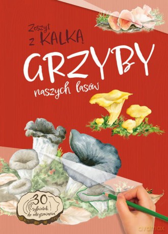 Grzyby naszych lasów. Zeszyt z kalką - Katarzyna Kopiec-Sekieta [KSIĄŻKA]
