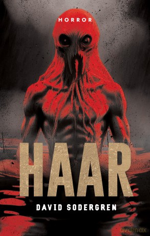 Haar - David Sodergren [KSIĄŻKA]