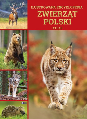Ilustrowana encyklopedia zwierząt Polski. Atlas [KSIĄŻKA]