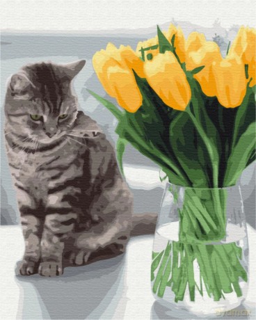 Malowanie po numerach BRUSHME 40x50 cm Kot z tulipanami