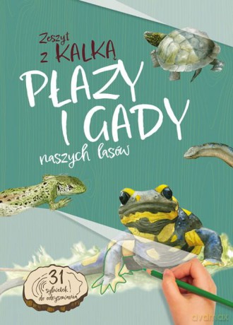 Płazy i gady naszych lasów. Zeszyt z kalką - Katarzyna Kopiec-Sekieta [KSIĄŻKA]