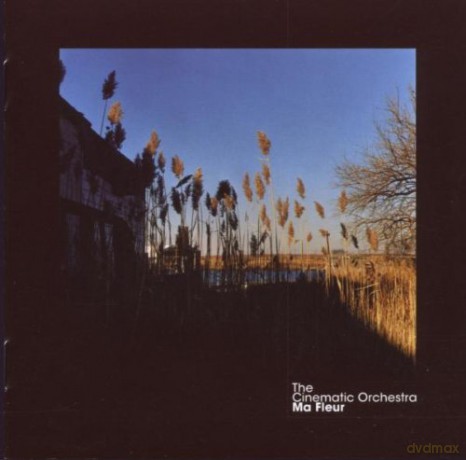 The Cinematic Orchestra: Ma Fleur [CD]