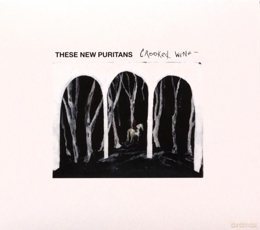 These New Puritans: Crooked Wing [CD]