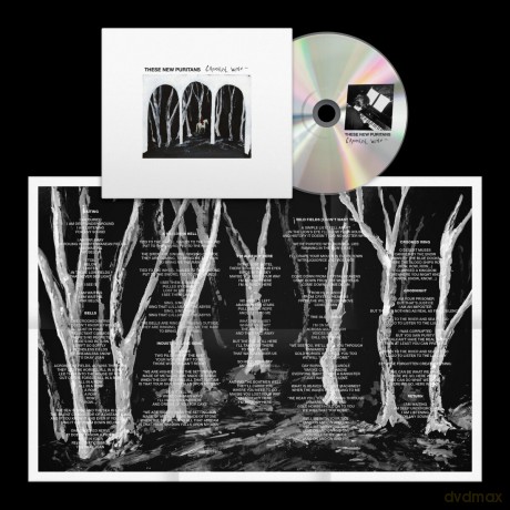 These New Puritans: Crooked Wing (Limited) [Winyl]