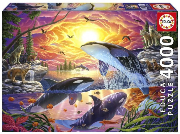 EDUCA 4000 el. Uwolnić orkę [PUZZLE]