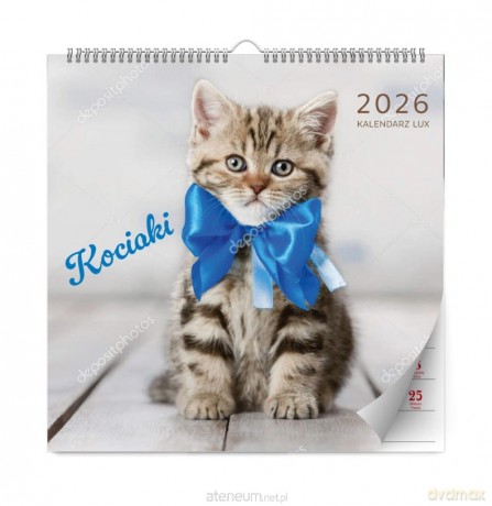 Kalendarz 2026 ścienny lux kociaki [KALENDARZ]