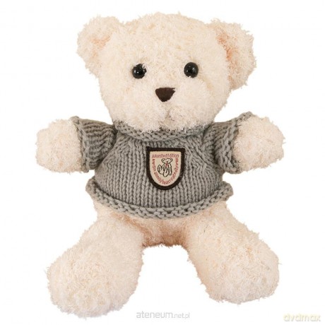 Maskotka przytulanka miś w sweterku 26cm