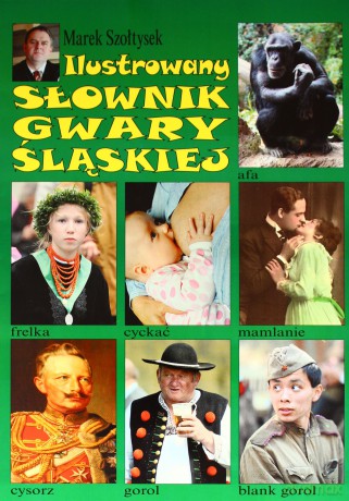 Ilustrowany słownik gwary śląskiej [KSIĄŻKA]