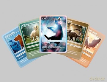 Flow (Limited) [Blu-Ray 4K]+[Blu-Ray]