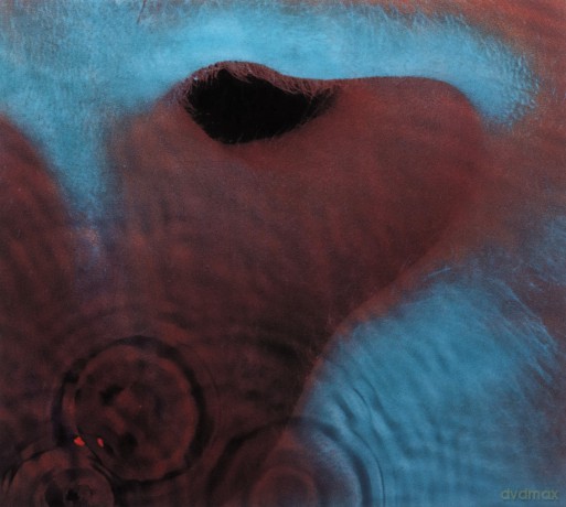 Pink Floyd: Meddle [CD]