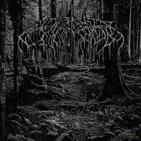 Wolves In The Throne Room: 2005 Demo [CD]