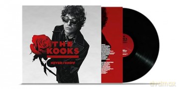 The Kooks: Never Know [Winyl]