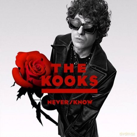 The Kooks: Never Know (White) [Winyl]