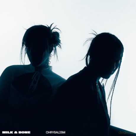 Milk & Bone: Chrysalism (Clear) [Winyl]