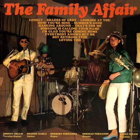 Family Affair: Family Affair [CD]
