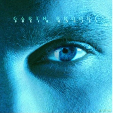 Garth Brooks: Fresh Horses [Winyl]