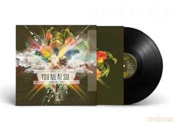 You Me At Six: Hold Me Down [Winyl]