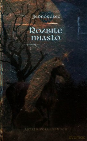 Jednorożec. Rozbite miasto - Astrid Vollenbruch [KSIĄŻKA]