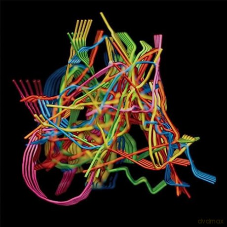 Dustin Wong: Perpetual Morphosis [CD]