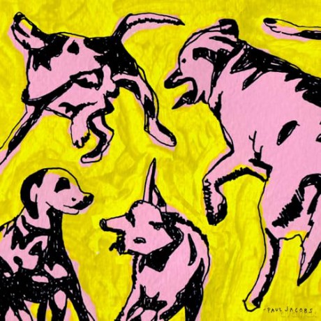 Paul Jacobs: Pink Dogs On The Green Grass [Winyl]