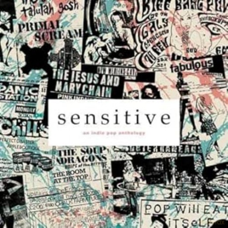 Sensitive: An Indie Pop Anthology [CD]
