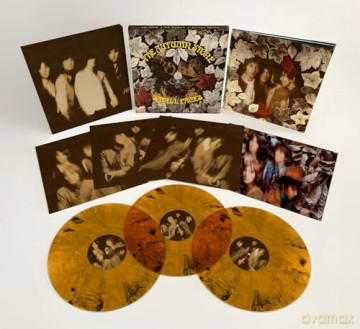 Small Faces: The Autumn Stone [Winyl]