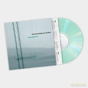 Thalia Zedek Band: The Boat Outside Your Window (Coke Bottle Clear) (Indie Exclusive) [Winyl]