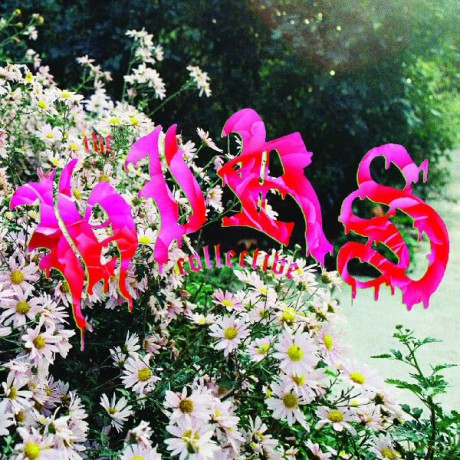 Hirs Collective: Were Still Here (White) (+Obi) (Indie Exclusive) [Winyl]