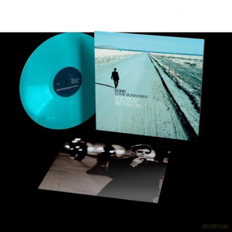 Echo & The Bunnymen: What Are You Going To Do With Your Life? (Turquoise) [Winyl]