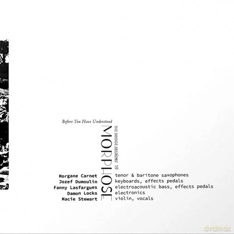 Morphose: Before You Have Understood - The Bridge Sessions 19 [CD]