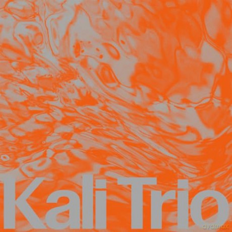 KALI Trio: The Playful Abstract [CD]