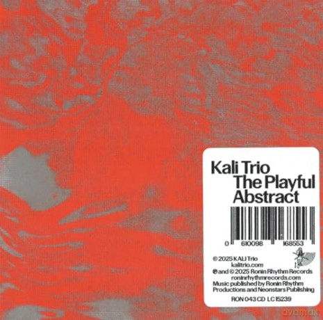 KALI Trio: The Playful Abstract [CD]